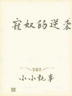 宠奴的逆袭