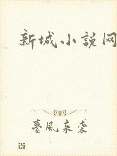 新城小说网