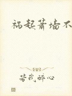 祸起萧墙不知戢