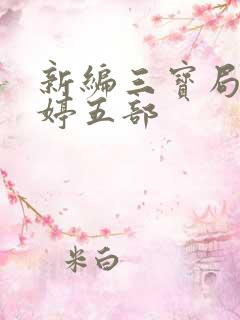 新编三宝局长许婷五部