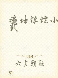 遍地狼烟小说下载