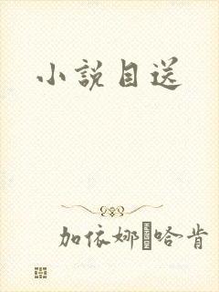 小说目送