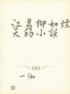 江易柳如烟秦少天的小说