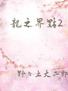 龙之界点2