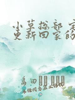 小草总部 定期更新回家的路