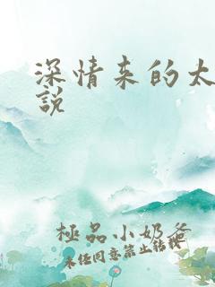 深情来的太迟小说