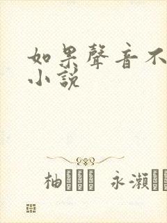 如果声音不记得小说