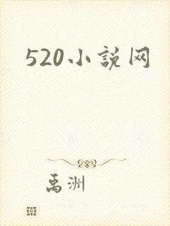 520小说网
