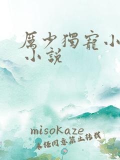 厉少独宠小娇妻 小说