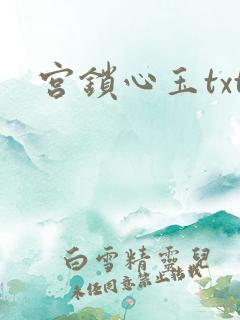 宫锁心玉txt