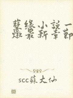 孽缘小说一家乱炖最新章节阅读