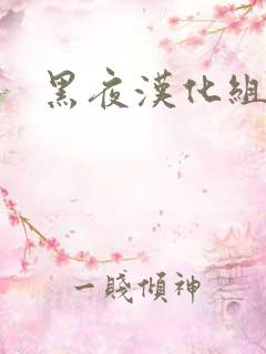 黑夜汉化组
