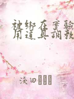 被绑在实验台上用道具调教