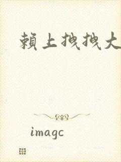 赖上拽拽大明星