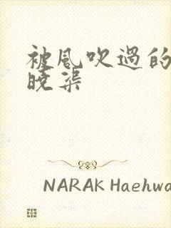 被风吹过的夏天晓渠