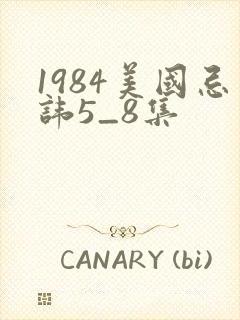 1984美国忌讳5_8集