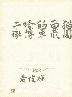 二哈的白猫师尊微博车截图