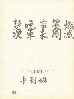 楚晚宁墨燃第一次车未删减