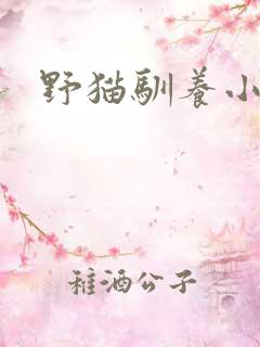 野猫驯养小说