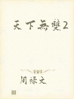 天下无双2