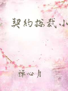 契约总裁小萌宝