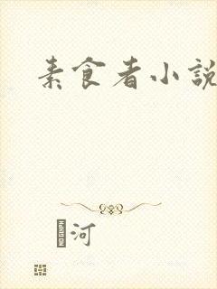 素食者小说