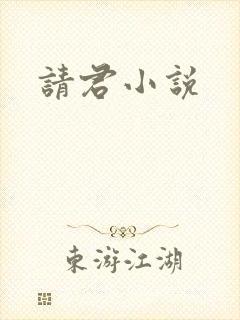 请君小说