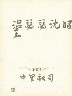 温瑟瑟沈昭摄政王