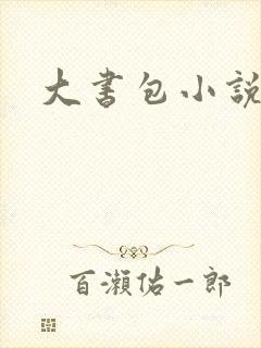大书包小说