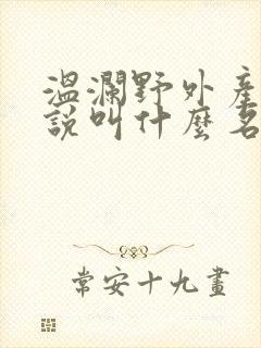 温澜野外产子小说叫什么名字