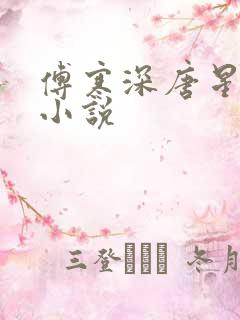 傅寒深唐星挽的小说