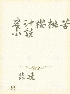 蜜汁樱桃苦咖啡小说