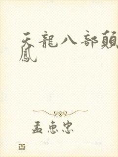 天龙八部颠龙鸾凤