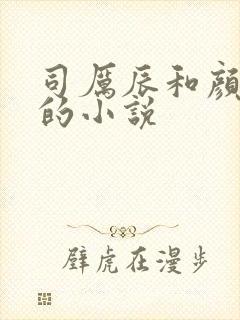 司厉辰和颜辞兮的小说