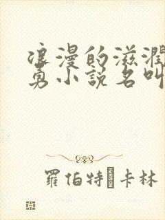 浪漫的滋润刘大勇小说名叫什么?