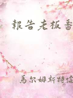 报告老板番外篇