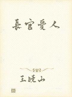 长官爱人