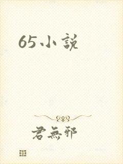 65小说