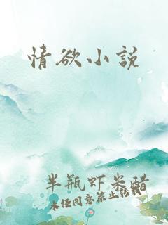 情欲小说