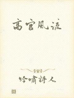 高官风流