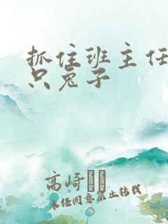 抓住班主任的两只兔子