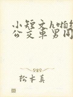 小短文h啪纯肉公交车男同