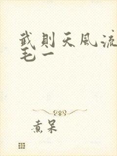 武则天风流艳情毛一