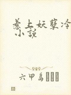 惹上妖孽冷殿下 小说