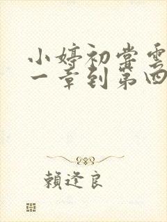 小婷初尝云雨第一章到第四章