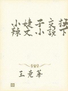 小婕子交换系列辣文小说下载