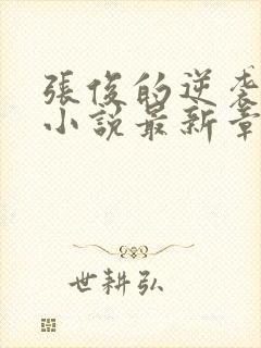 张俊的逆袭之路小说最新章节