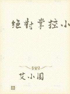 绝对掌控小说
