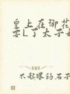 皇上在御花园里要L了太子妃