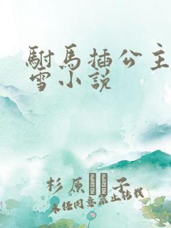 驸马插公主恋战雪小说